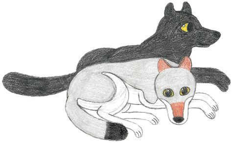 Canis lupus occidentalis by RainforestWolf on DeviantArt