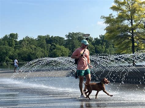 Cooling off in the fountain in Georgetown Waterfront Park | Flickr