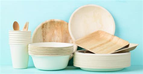 Can Compostable Containers Be Recycled?