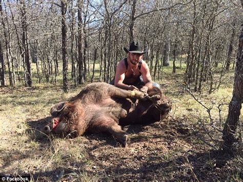 Hunters capture hog weighing nearly 800 POUNDS in Texas | Daily Mail Online