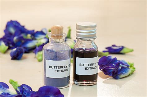 อัญชัญผงสกัด 100% (Butterfly Pea Extract) [Premium Grade] - ทีซีเอสมาร์ท