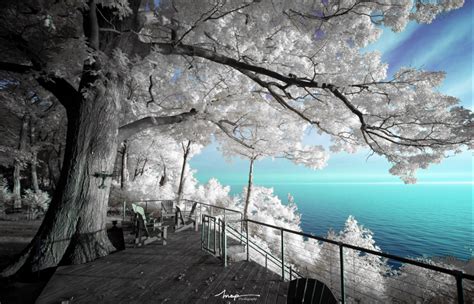 The Why & How of Digital Infrared Photography – BOMH