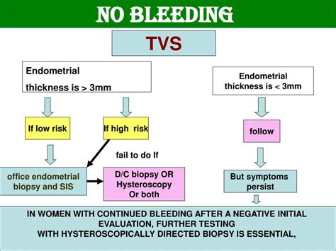 8mm Endometrial Thickness Postmenopausal With Bleeding - slidesharetrick