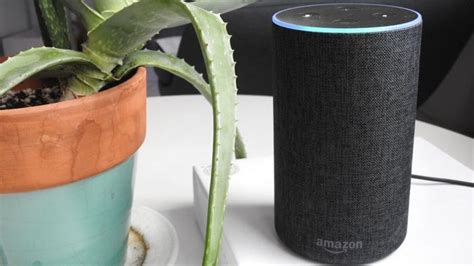 Amazon Echo (2017) review: The best Alexa device yet | Mashable