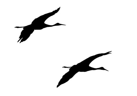 Sandhill Crane Silhouette at GetDrawings | Free download