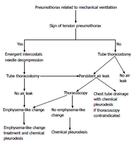 Iatrogenic pneumothorax related to mechanical ventilation