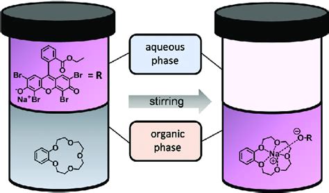 Two-phase extraction of a dichlormethane/water mixture with B15C5 and 2 ...