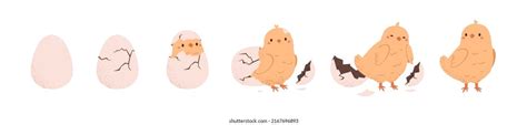 Hatching Photos and Images | Shutterstock