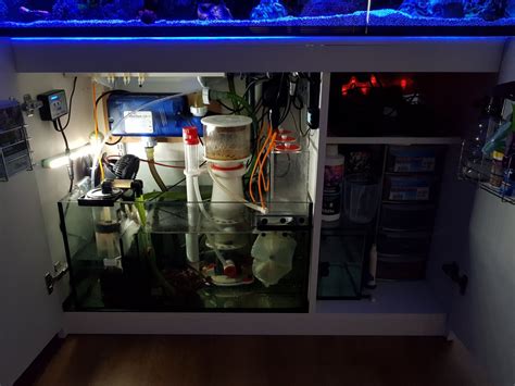 Let me see your Red Sea reefers and your sump setup | Page 3 ...