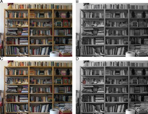 Figure 1 from The Role of Color in Human Face Detection | Semantic Scholar