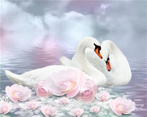 5D Diamond Painting Pink Flower Swans Kit | Swan painting, Swan pictures, Swans art