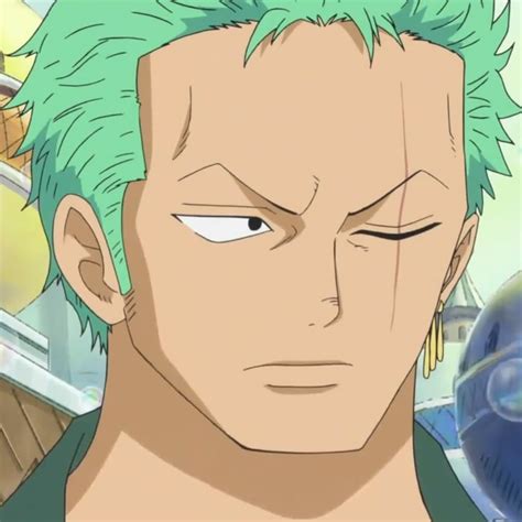 Roronoa Zoro | Fairy Pirates Wiki | FANDOM powered by Wikia