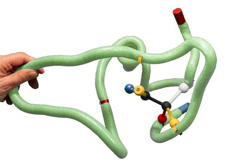 Substrate Specificity Kit© – 3D Molecular Designs