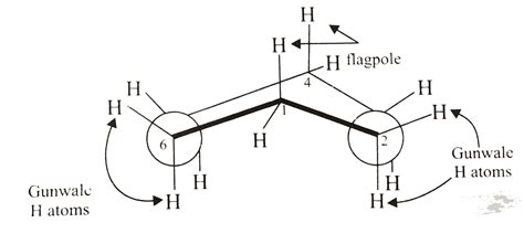 Draw Newman Projections Cyclohexane