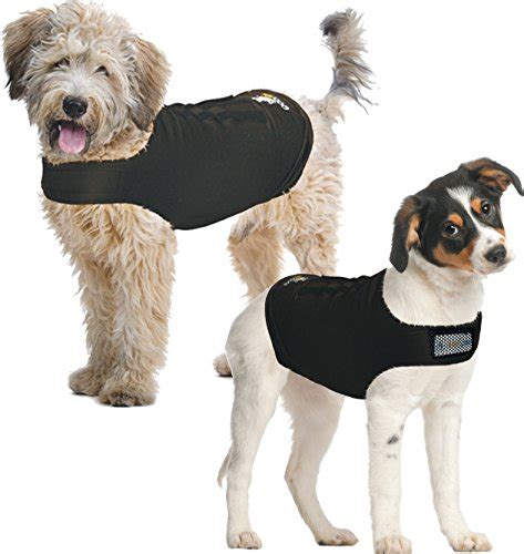 The 5 Best Dog Anxiety Vests (And How They Work)