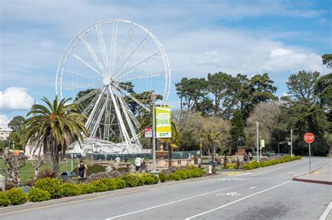 New Golden Gate Park Attractions - Trinity SF