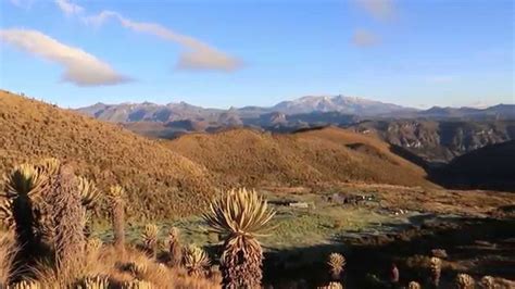 Los Nevados National Park - Ecotours - YouTube