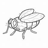 Premium Vector  Cartoon flies Illustration Cute coloring sketch template