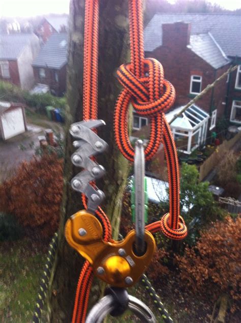 Petzl Zigzag and a new rope we are testing for a top brand. | Arborist climbing, Tree arborist ...