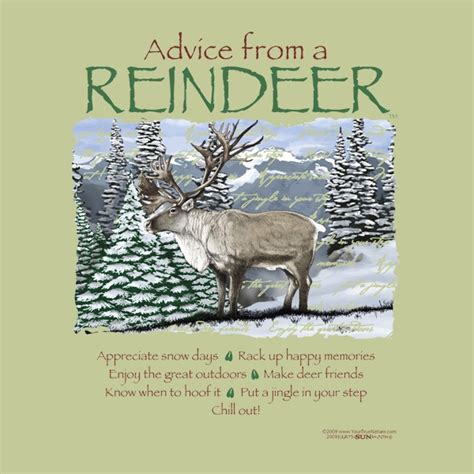 reindeer | Quotes, Sayings & Humor | Pinterest