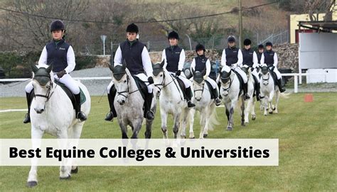 15 Best Equestrian Colleges & Universities in the US - Horsey Hooves