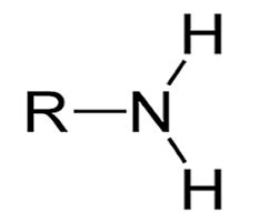 Common Functional Groups and Linkages in Biochemistry Flashcards | Quizlet