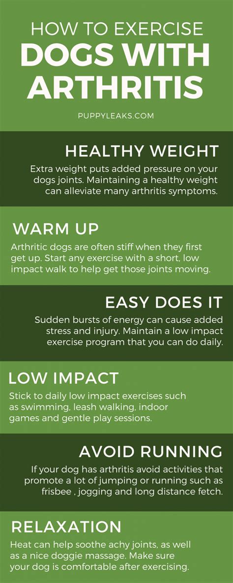 How to Exercise a Dog With Arthritis - Puppy Leaks