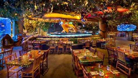 Best Table Service Restaurants at Disney's Animal Kingdom