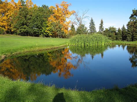 Pond reflections Photograph by Leontine Vandermeer - Fine Art America