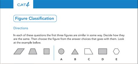 CAT4 - Cognitive Abilities Test - Questions Answered