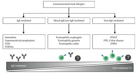 food protein induced enterocolitis syndrome in adults - Cicely Timmons