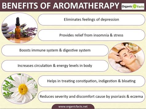 benefits of aromatherapy | 10 Amazing Benefits of Aromatherapy | Organic Facts | Aromatherapy ...