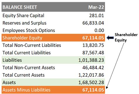 What is Shareholder Equity - Meaning, Basics, Examples, & Interpretation - GETMONEYRICH