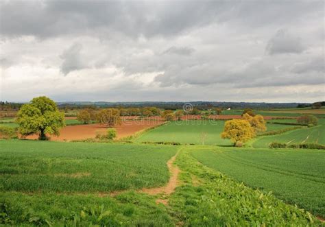 An English Rural Landscape stock photo. Image of hiking - 12733844