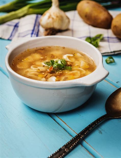 Czech homemade soup stock image. Image of dish, dinner - 113533099