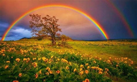 Wallpaper Rainbow Background Landscape - Popular Century