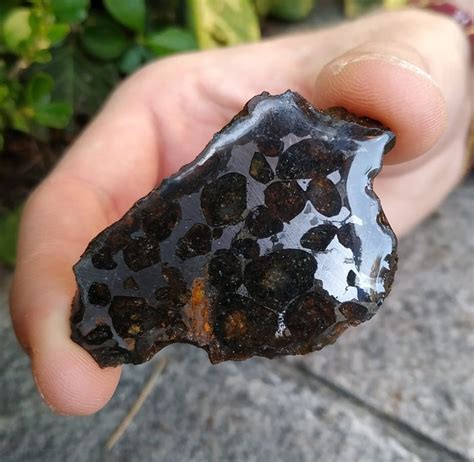 Sericho pallasite Slice. Stony-Iron Meteorite - 14 g - Catawiki