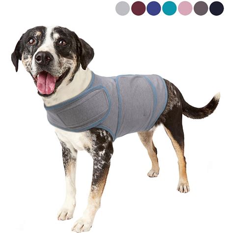 These Anxiety Vests Might Just Help To Calm Your Anxious Dog - Pawsify