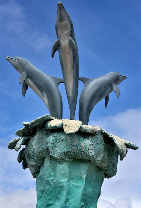 UNEXSO Dolphin Swim in Freeport, Bahamas - Encircle Photos