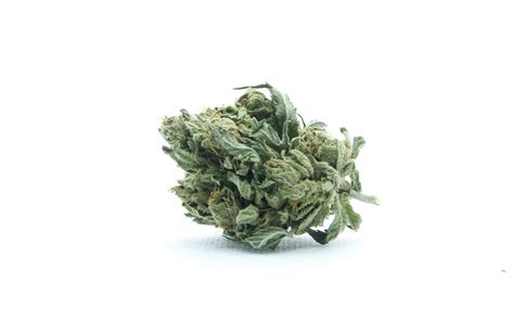 Green Crack (Greenhouse) 28g *Mild Effect* – Weed Cottage Dispensary