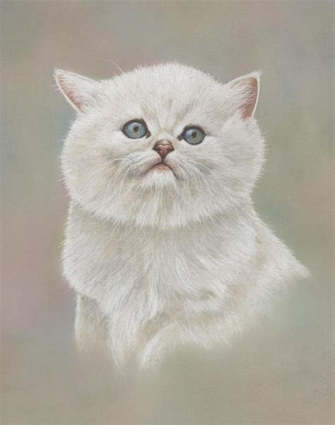 Draw These Animals using Pastel Pencils | Animal drawings, Animal art, Animals