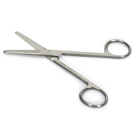 Dissecting Scissors, Mayo, Stainless Steel, Semi-Blunt, Straight, 5 1/2 in | Carolina Biological ...