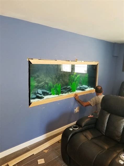 Custom Aquarium Installation — Tank Me Later LLC