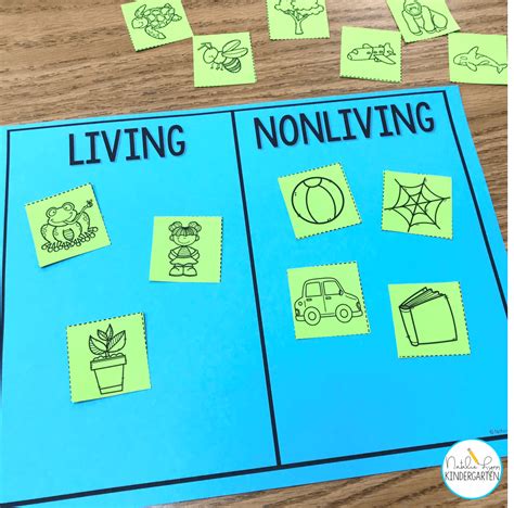 Living and Nonliving Things Activities for Kindergarten or 1st Grade… | Kindergarten social ...