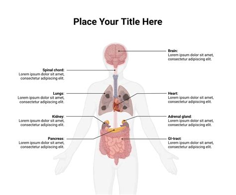 Diseased Human Body (Layout) | BioRender Science Templates