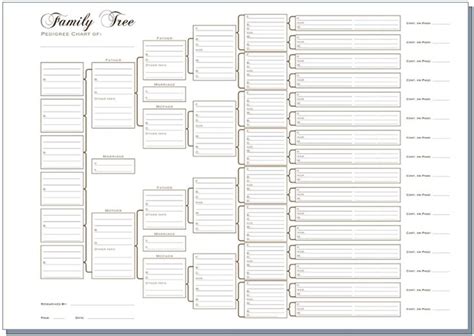 6 Generation Pedigree chart white | Family tree chart, Family tree template excel, Family tree ...