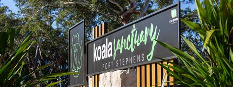 Port Stephens Koala Sanctuary :: Port Stephens