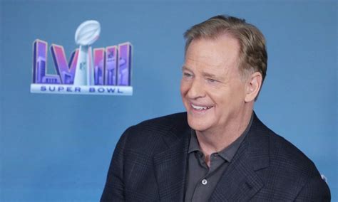 Roger Goodell believes Bears could host Super Bowl with new stadium