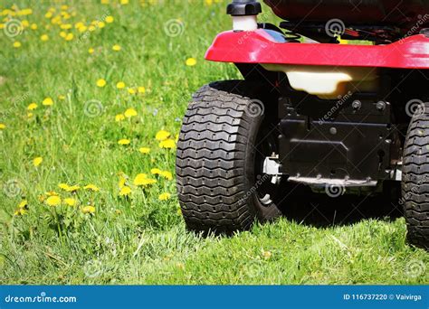 Cutting the Grass of on a Tractor Lawn Mower Stock Photo - Image of mowers, mower: 116737220