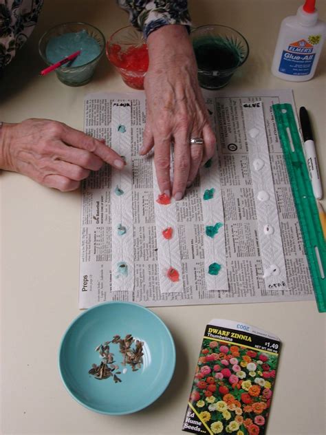 Seed Tapes: A Better Way to Sow Seeds - Dengarden